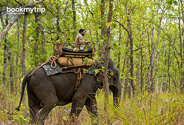 Bookmytripholidays | Destination Bandhavgarh